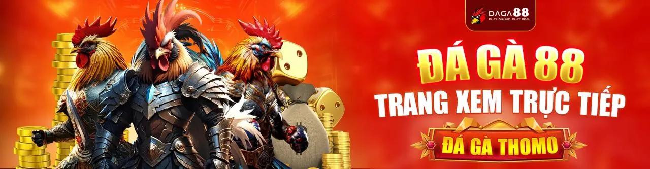 Chính sách cookie được giải thích rõ ràng tại 98win